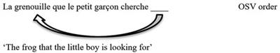Working memory training in children with developmental language disorder: Effects on complex syntax in narratives